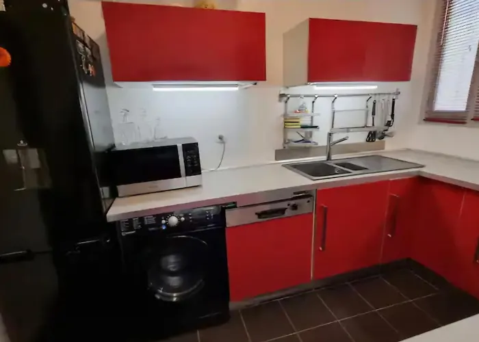 Spacieux T2 Route Des Sanguinaires 아파트